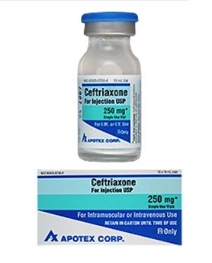 Cephalosporin Ceftriaxone Sodium 250 mg / 10 mL Intramuscular or Intravenous Injection Single Dose Vial 10 mL , Apotex 60505075004