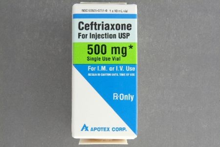 Cephalosporin Ceftriaxone Sodium 500 mg Injection Single Dose Vial , Apotex 60505075100