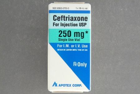 Cephalosporin Ceftriaxone Sodium 250 mg / 10 mL Injection Single Dose Vial 10 mL , Apotex 60505075000