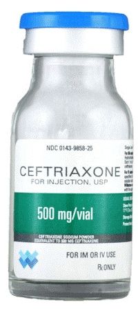 Cephalosporin Ceftriaxone Sodium 500 mg Intramuscular or Intravenous Injection Vial 10 mL, Westeard 00143985825