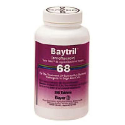 Baytril® Taste Tablets , 68 mg , 250/Bottle , Bayer 00724089003904