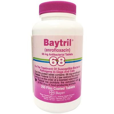 Baytril® Purple Tablets 100/Bottle , 22.7 mg , Bayer 00724089018687