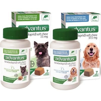 Advantus™ Soft Chews , For 23-110Lbs. Dogs , 37.5mg , Bayer 00724089454461