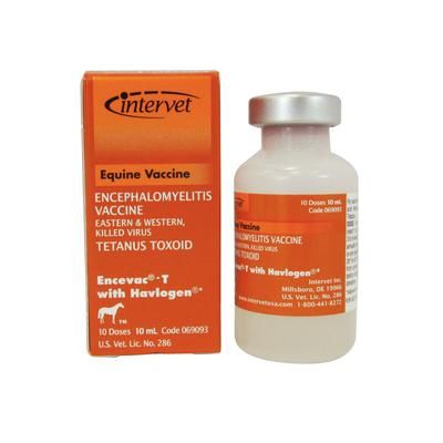 Encevac®-T With Havlogen® 10 ml (10 Doses) , Merck Intervet 069093