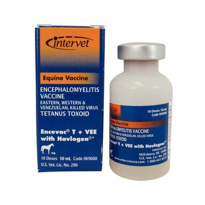 Encevac®-T + VEE 10 ml (10 Doses) , Merck Intervet 069088