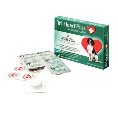 Tri-Heart® Plus Chewable Tablets 6 Doses x 10 Boxes , For Dogs 25-50 lb – Green , Merck Intervet 049636