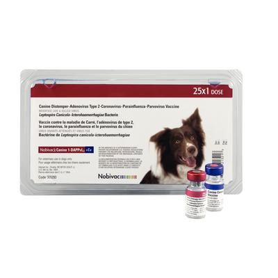 Nobivac® Canine 1-DAPPVL2 + CV 25 X 1 Ml Dose , Merck Intervet 0 ...