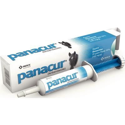 Panacur® Paste Syringe 25 g , Merck Intervet 069273