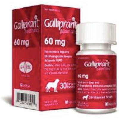 Galliprant Tablets , 60 mg 90/Bottle , Elanco CA5811090AM