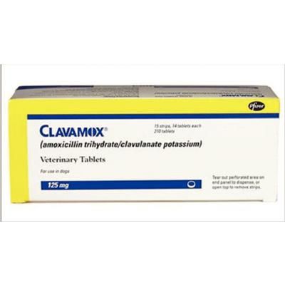 Clavamox Tablets , 125 mg - 210/Pkg , ZOETIS 10000483