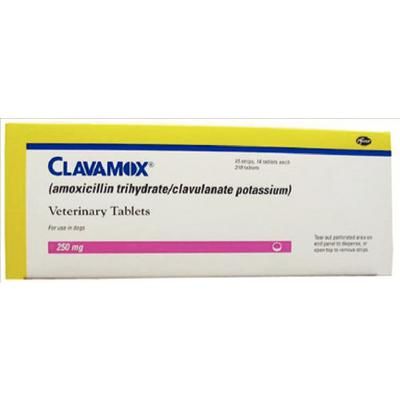 Clavamox Tablets , 250 mg - 210/Pkg , ZOETIS 10000484