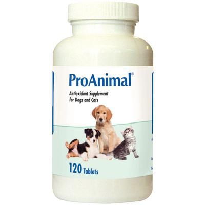 ProAnimal , Chewable Tabletsl 120/Bottle ,Animal Health 07-890-5551