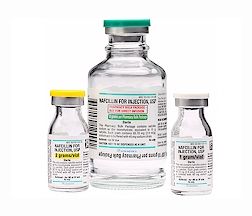 Penicillin Nafcillin Sodium, Preservative Free 1 Gram Intramuscular or Intravenous Injection Single Dose Vial 10 Vials Auromedics 55150012215
