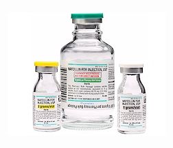 Penicillin Nafcillin Sodium, Preservative Free 1 Gram Intramuscular or Intravenous Injection Single Dose Vial 10 Vials Auromedics 55150012215