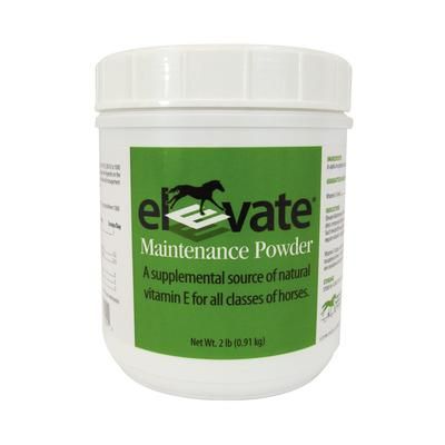 Elevate Maintenance Powder 2 lb KENTUCKY PERFORMANCE 990005