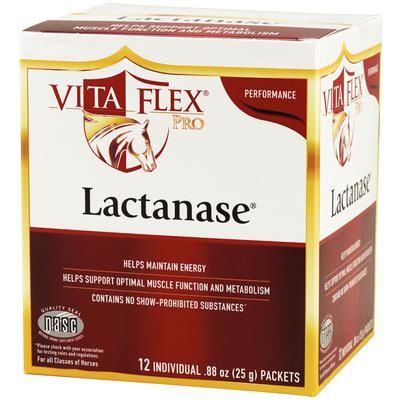 Lactanase Powder 25 g - Each , 12/Case , VITA FLEX NUTRITION 3000088
