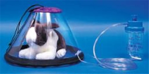 Oxy Hood - Cats & Dogs (Small -Under 15#) Jorgensen J0652A