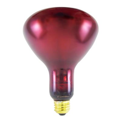 (175 watt) Ruby Bulb 6/Pack , Fabrication 18-1372