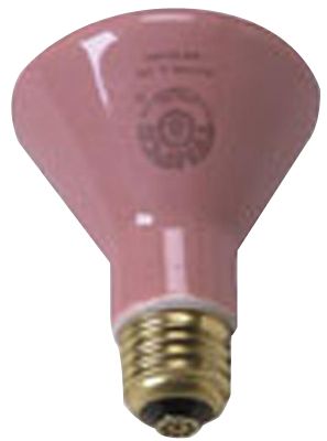 (250 watt) Ceramic Bulb 6/Pack , Fabrication 18-1370