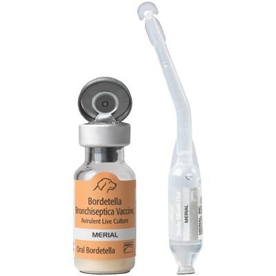 Recombitek Oral Bordetella 25 x 1 Dose , MERIAL74200