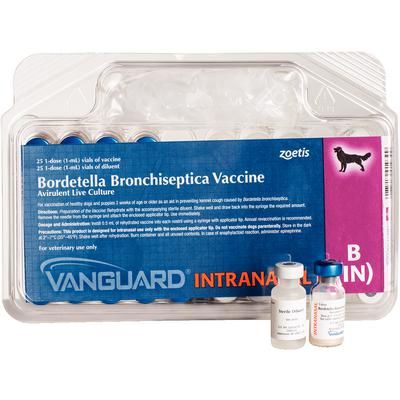 Vanguard B (IN) 25 X 1 Dose , ZOETIS 10009518 | Allmedtech.com