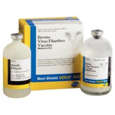 Bovi-Shield Gold BVD Injection 10 Doses , ZOETIS 10005075