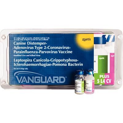 Vanguard Plus 5 L4 CV Injection 25 X 1 Dose , ZOETIS 10009720 ...