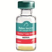 PureVax Feline Rabies (3 Year) 25 x 1 Dose , MERIAL 213825