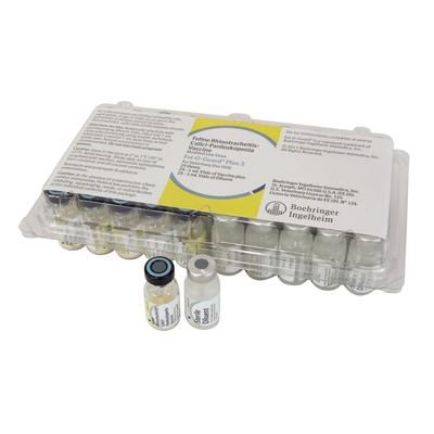 Fel-O-Guard Plus 3 Vaccine 25 x 1 ml Dose , ELANCO AV686081AAM