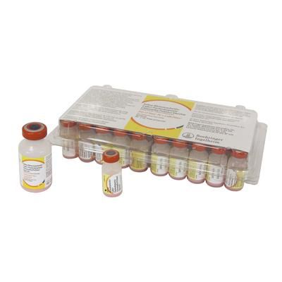 Fel-O-Vax IV + CaliciVax Vaccine 25 x 1 ml Dose , ELANCO AV6836025AM