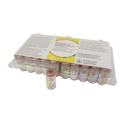 Fel-O-Vax LVK IV + CaliciVax Vaccine 25 x 1 ml Dose , ELANCO AV6830025AM