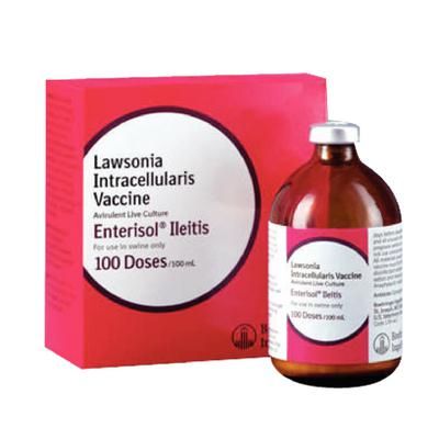 Enterisol Ileitis (Nonfrozen) Vaccine 100 Doses , BOEHRINGER INGELHEIM 137949