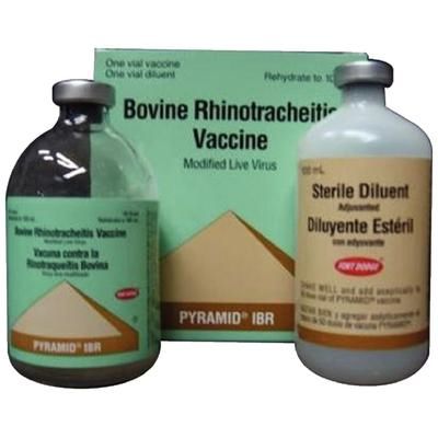 Pyramid IBR 100 ml (50 Doses) , BOEHRINGER INGELHEIM 139928