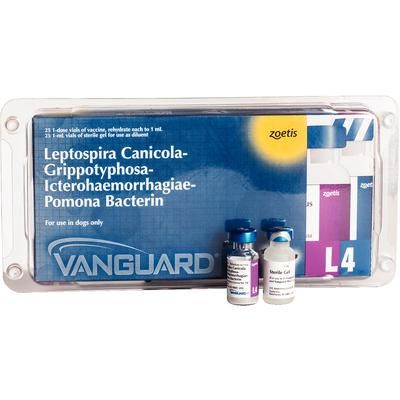 Vanguard L4 Vaccine 25 X 1 Dose , ZOETIS 10000618 | Allmedtech.com