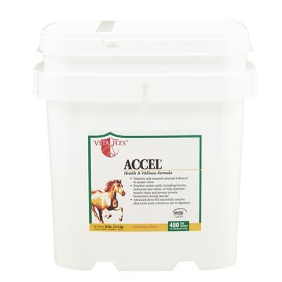 Accel Health and Wellness Formula 30 lb , VITA FLEX NUTRITION 100528481