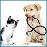 ANIMAL HEALTH & PET SUPPLIES , PLEASE SELECT ITEMS IN THIS CATEGORY