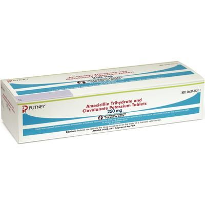 Amoxicillin Trihydrate and Clavulanate Potassium 250 mg ,Tablets 210/Box (15 Foil Strips of 14 Tablets/Strip) , DECHRA VET PRODUCTS 26637-643-11