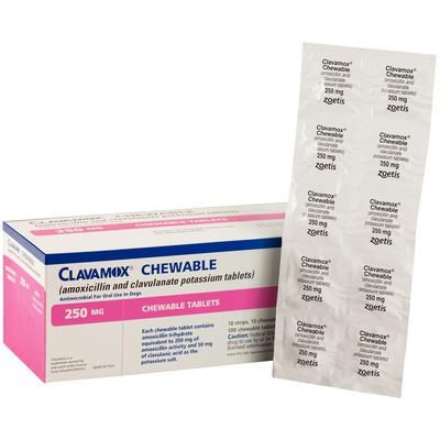 Clavamox Chewable Tablets 250 mg, 100/Pkg , ZOETIS 10014366