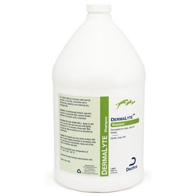 DermaLyte Shampoo Gallon , DECHRA VET GCSW