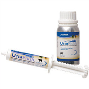 UterFlush Syringe , 30 ml , Vanbeek 536998