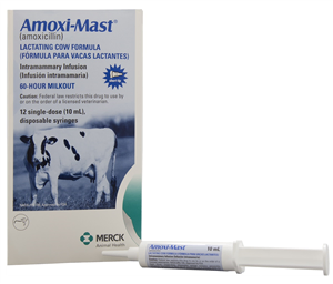 Amoxi-Mast Intramammary Antibiotic Short Tip 12 x 1 Dose Syringe , Merck 8128-01