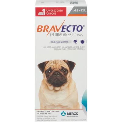 Bravecto Chews for Dogs and Puppies 22 to 44 Pounds, Green Label (1 Dose x 10) , Merck 128951