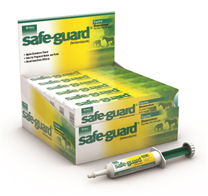 Safe-Guard Equine Paste Dewormer (Fenbendazole) (12 x25gm), Merck 064832