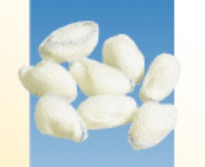 Tonsil Sponge Cotton 3/8 Inch Sterile , 500/Case , Dukal 10660