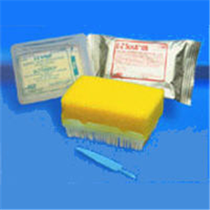 Brush Surgical EZ Scrub CHG 4% Red LF Non-Sterile 30/Bx, 10 BX/Case , BD 371073