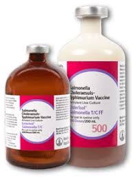 Enterisol Salmonella T/C Vaccine, Avirulent Live Culture, 200mL , Boehringer Ingelheim 107696