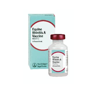 Equine Rhinitis A Vaccine, Killed Virus, 1mL , Boehringer Ingelheim 131407