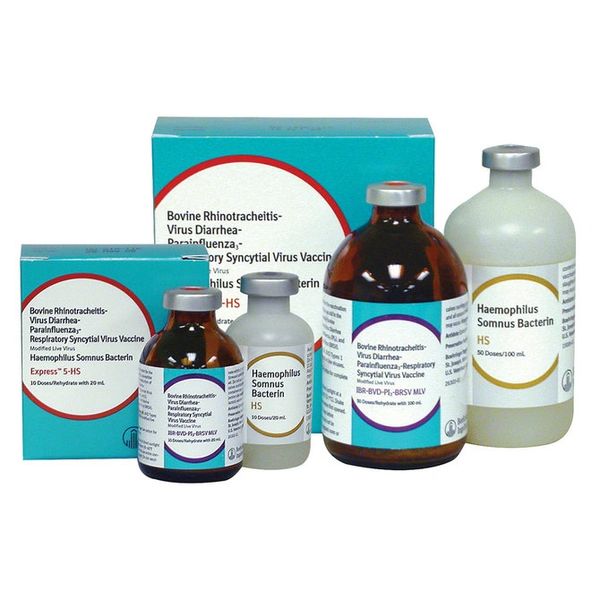 Express 1 Vaccine, Modified Live Virus, 100mL , Boehringer Ingelheim 136169