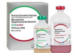 Flexcombo Swine Vaccine, Killed Baculovirus Vector, 100mL , Boehringer Ingelheim MWI-054129