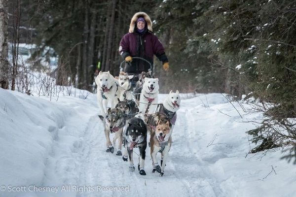 Iditarod dog musher Ryne Olson